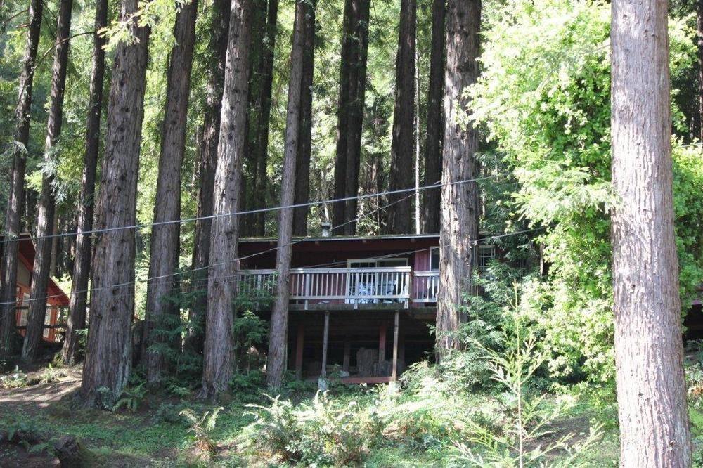 Jayes Timberlane Resort Ben Lomond Esterno foto
